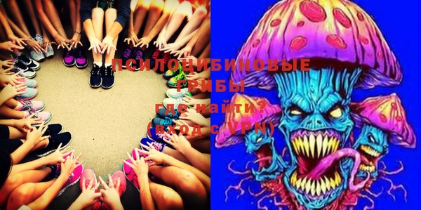 mix Инта
