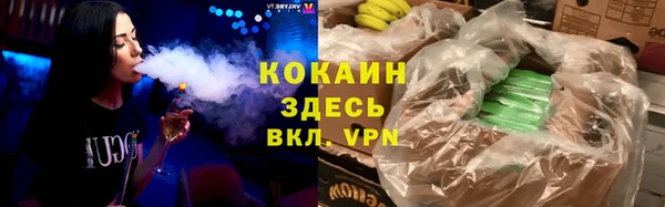 mix Инта