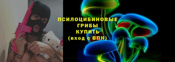 mix Инта