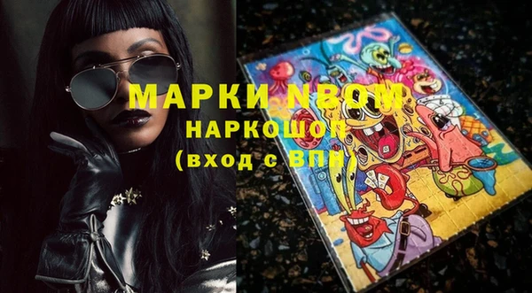 mix Инта