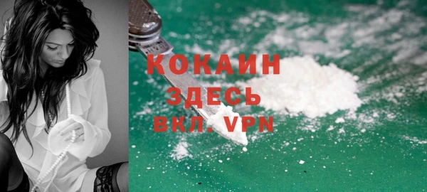 mix Инта