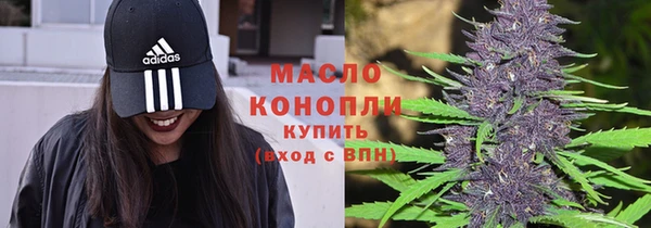 mix Инта