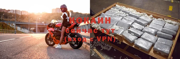 mix Инта